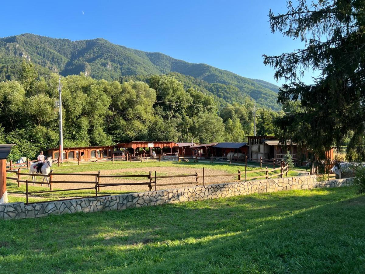 Apartman Kykula - Terchova, Vysne Kamence 1520 Buitenkant foto